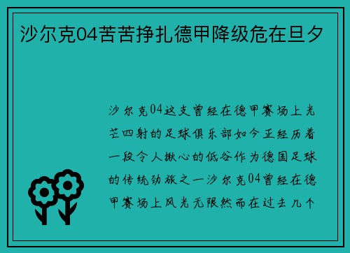 沙尔克04苦苦挣扎德甲降级危在旦夕