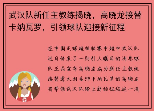 武汉队新任主教练揭晓，高晓龙接替卡纳瓦罗，引领球队迎接新征程